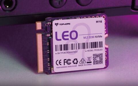 达墨LEO 2230 PCIe 4.0 NVMe SSD上架：兼容Steam Deck，2TB售价559元